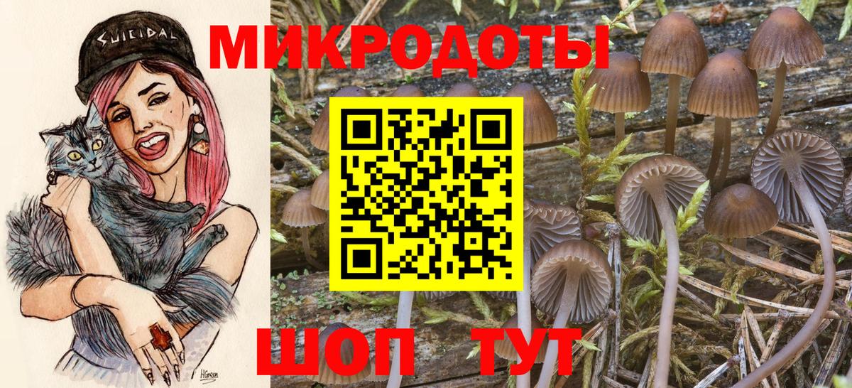 Галлюциногенные грибы ЛСД Раменское